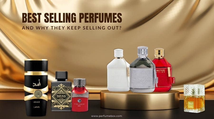 Our 7 Best Selling Perfumes—And Why They Keep Selling Out?