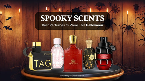 Spooky Scents: Best Perfumes to Wear This Halloween