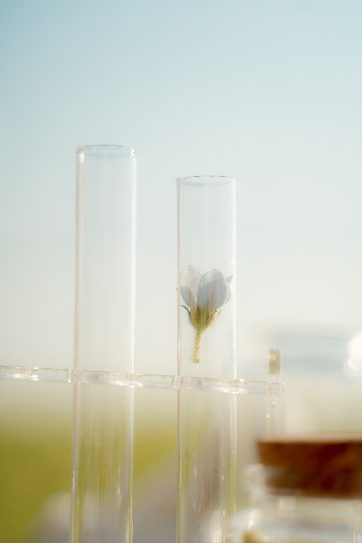 Top Fragrances for a Fresh Start
