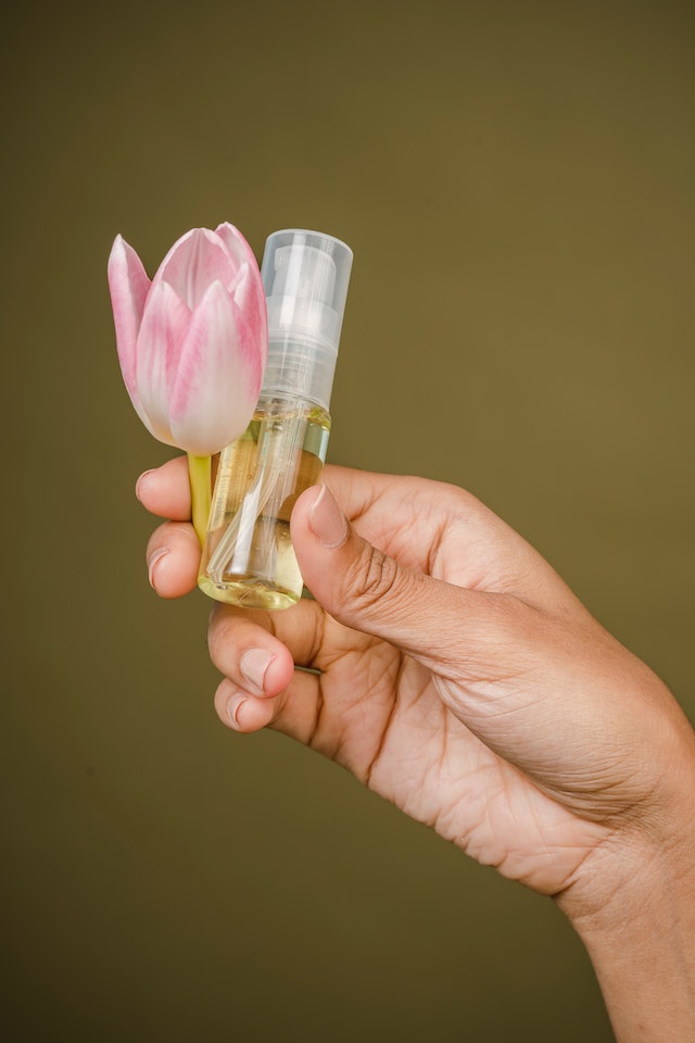 The Best Gift Set Options Available on The Perfume Box Platform