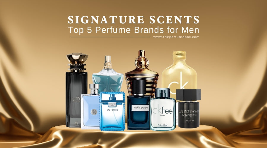 Signature Scents: Top 5 Perfume Brands for Men