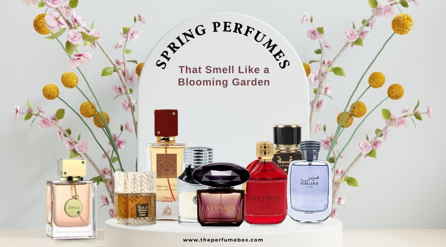 Springberry Perfume Top 10 Spring Perfumes That Smell Like a Blooming Garden