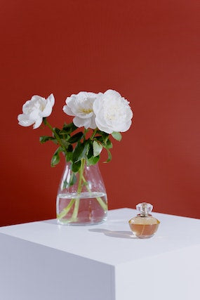 Find the most Exquisite Prada Perfume from Perfume Box