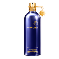 Montale Aoud Ambre Eau De Parfum Spray